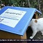 [풀뿌리 언론K] “창원시 첫 길고양이 공공급식소 ‘민원 줄고 공존 실천’”
