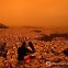 [월드&포토] 아프리카발 황사에 주황색 도시 된 아테네