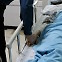 톱으로 피습당한 광주 경찰관…당시 바디캠 영상 없는 이유는?[취재메타]