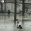 두바이 교민, 최악의 홍수 겪어보니 [파일럿 Johan의 아라비안나이트]