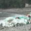 [기후는 말한다] 쓰레기 범벅된 바닷가…감시·점검 예산은 전액 삭감
