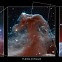 우주 속에 ‘말머리’가…제임스웹 망원경, 생생한 성운 포착 [우주를 보다]