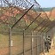 [통일로 미래로] 분단 상처 딛고…희망 꿈꾸는 ‘DMZ 숲’