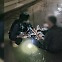 [잇슈 키워드] “사람이 물길에 누워있어요!”…맨발로 뛰어든 경찰