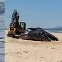 대형 유람선 충돌후 사체로 질질…멸종위기 긴수염고래의 비극