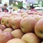 “국내산 너무 비싸”…高高한 과일값에 소비도 줄었다 [푸드360]