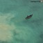 “대왕조개, 中어부 탓에 씨말라” 필리핀, 남중국해 환경 조사 촉구 [포착]