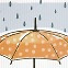 소중한 우산[유희경의 시:선(詩:選)]