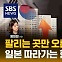 수도권 상승, 지방 하락…부동산 양극화 현상, 일본 따라가나? (ft. 김준환) [경제자유살롱]