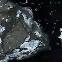 지구 생명체 기원 찾았다?…“소행성 베누, 지구로 물 전달했을 가능성 有”[아하! 우주]