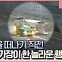 [작은영웅]  “그냥 교통사고가 아닙니다” CCTV 본 경찰의 호소(영상)