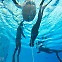 [이런 여행] 수심 5미터 바닥 찍기… 개헤엄 ‘수영 포기자’도 가능할까