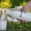 [WEEKLY BIZ LETTER] 기후 위기, 생존의 절박함이 만든 '젖소 없는 우유'