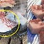 “1인당 60㎏”…밥보다 고기 더 먹는 한국인에게 ‘비계 논란’은 숙명? [일상톡톡 플러스]