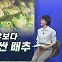 [경제쏙쏙] 한우보다 비싼 배추…"김치 먹기 겁나네"