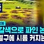 [D리포트] 황갈색으로 파인 논…벼멸구에 시름 커지는 농민들