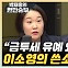 이소영 "깐족대는 한동훈, 민주당 금투세 결론에 도움 안 돼" [한판승부]