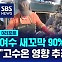 [D리포트] 여수 새꼬막 90%가 폐사…"고수온 영향 추정"