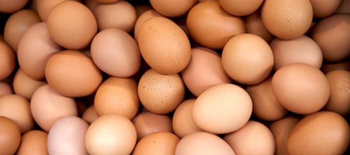 매일 아침 계란 '이렇게' 먹으면 눈이 밝아지고 치매가 사라집니다! 이미지