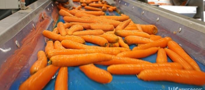 "꼭 같이 드세요…" 당근과 황금 궁합을 자랑하는 음식 5가지 이미지