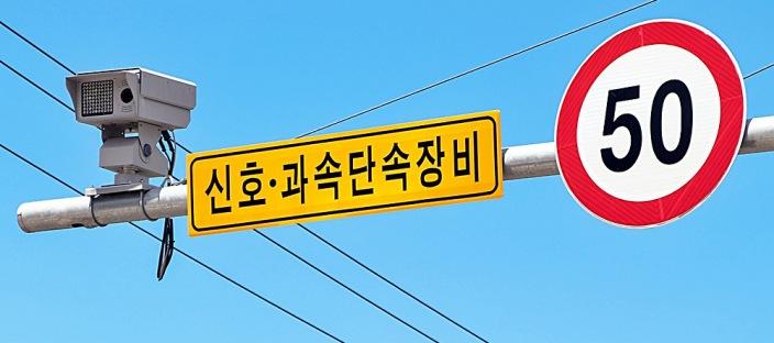 집에 있었는데 '과태료 내세요'.. 당하면 멘붕 100%라는 '이것' 정체 이미지