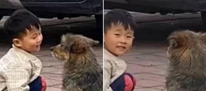 아들이 유기견에게 다가가 말동무 되어주는 모습에 감동 받은 엄마 이미지