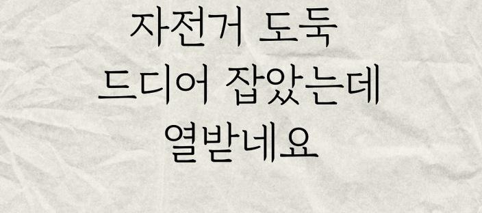 자전거 도둑 드디어 잡았는데 열받네요(+후기) 이미지