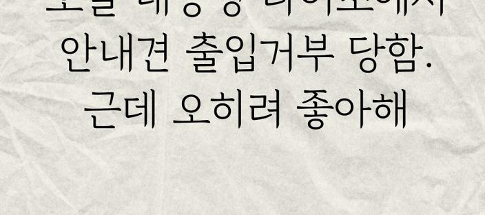 오늘 내동생 다이소에서 안내견 출입거부 당함, 근데 오히려 좋아해 이미지