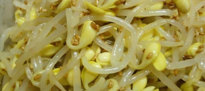 당뇨가 걱정되신다고요? “이 반찬” 꾸준히 먹으면 예방 할 수 있습니다 이미지