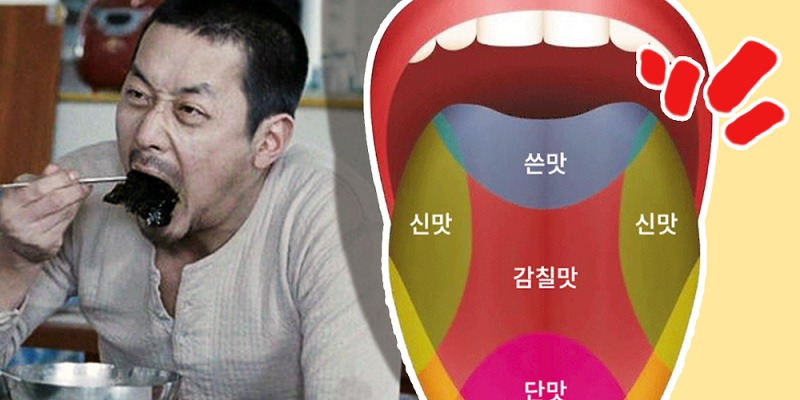 미각 실험할 때 99%는 이해 못했던 이유 | 취재대행소 왱