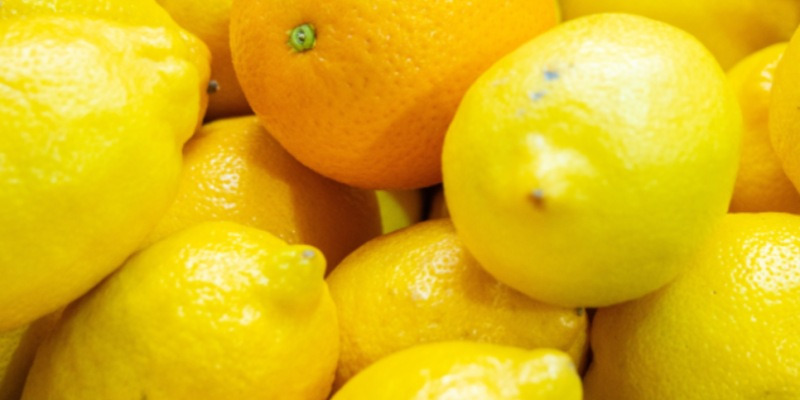 20251015100004799tgmf