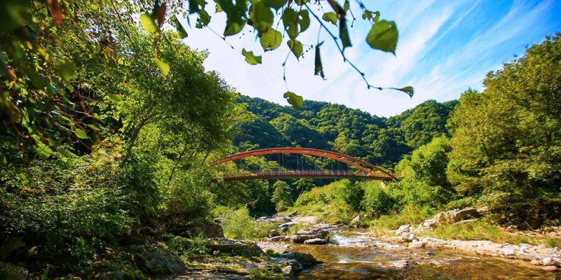 20251106080003347lrnt