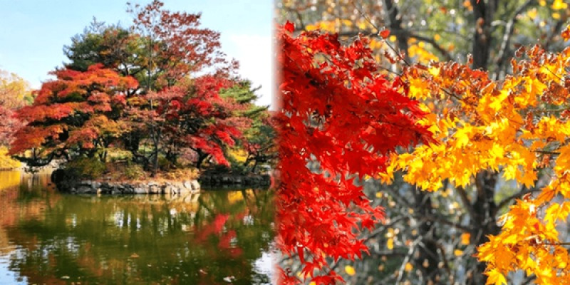 20251106163821518bsso