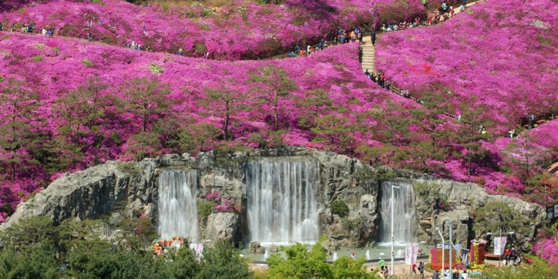 경기도 군포 철쭉동산 봄철 풍경