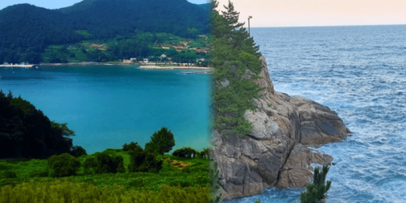 봄 바다 여행 관련 이미지