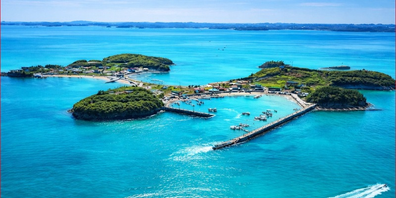 홍성 죽도 관련 이미지