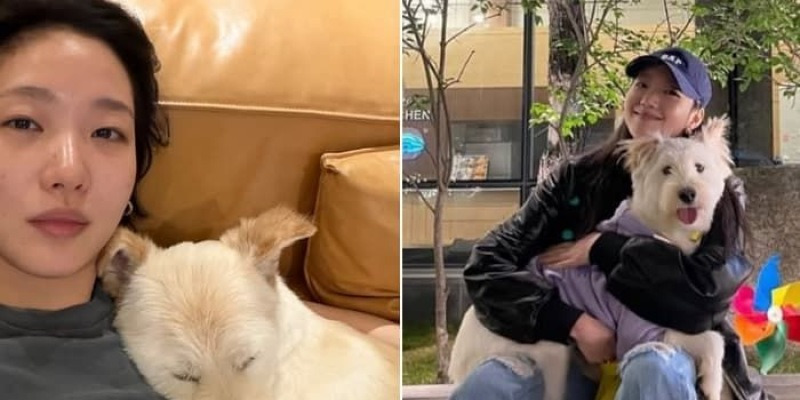 유기견 출신 김고은의 반려견 월이, 4년 투병 끝에 무지개다리 건너 "사랑해" - 콘텐츠뷰