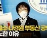 [영상] 김진애, 안철수·나경원 부동산 공약 저격 "써준 원고만 고대로 읽나?"