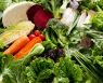 7가지 몸에 좋은 채소, 영양소 지키는 '꿀팁'
