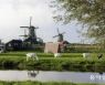 [바람개비]네덜란드 잔서스한스