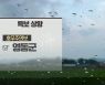 [날씨] 충북 태풍 영향 종일 비..영동 호우주의보