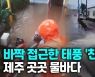 [영상] 태풍 '찬투' 위력 실감한 제주..강풍과 폭우에 곳곳 물바다