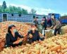 북한 "뜨거운 열정으로 올해 농사를 결속하자"