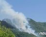 단양 소백산국립공원 내 야산서 불..산림 0.1㏊ 태워