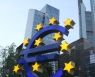 ECB 이사 “유럽, 인플레 압박에 금리인상 속도조절 여유 없어”