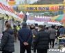 구룡포 꽁치과메기 축제 열렸네