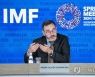 IMF Spring Meeting