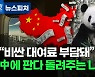 [뉴스피처] "비싼 대여료 부담돼" 중국에 판다 돌려보내는 나라들