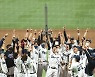 '통합우승인데' NC PS 배당금 13억원..5위 키움은 5천만원