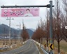 송가인, '송가인길+송가인 공원'까지..진도가 낳은 최고 셀럽 "내 고향 보배섬" [in스타★]